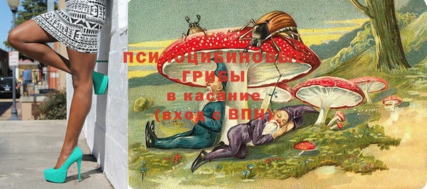 МДПВ Бронницы