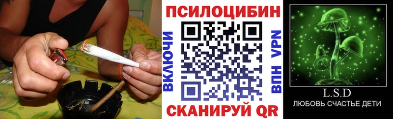 Галлюциногенные грибы Magic Shrooms  Купить закладки  Светлогорск 